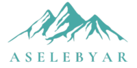 Aselebyar logo