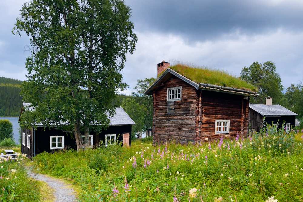 Fatmomakke in Norrland